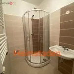 Rent 1 bedroom apartment of 32 m² in Ostrava