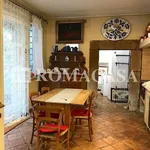 Rent 3 bedroom apartment of 140 m² in Roma