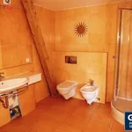 Rent 4 bedroom apartment of 155 m² in Praha