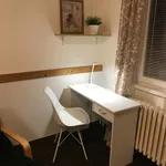 Rent 1 bedroom apartment in Rakovník