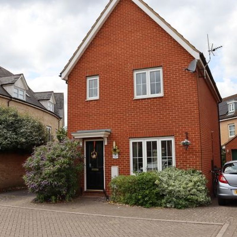 Detached house to rent in Northern Rose Close, Bury St. Edmunds IP32 Cattishall