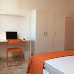 Rent 6 bedroom apartment in Bari