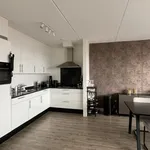 Rent 3 bedroom apartment of 97 m² in 3812EG Amersfoort