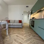 Rent 1 bedroom apartment of 45 m² in milano