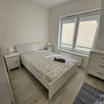 Rent 4 bedroom apartment of 90 m² in Szczecin