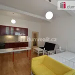 Rent 1 bedroom apartment of 38 m² in Praha