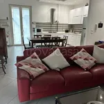 Rent 3 bedroom apartment of 100 m² in Ardore