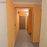 Rent 4 bedroom apartment of 79 m² in Přepychy