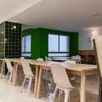 Rent 1 bedroom apartment in granada