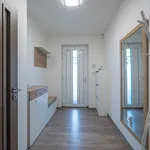 Rent 1 bedroom house of 764 m² in Heršpice