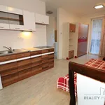 Rent 1 bedroom apartment of 25 m² in Brno