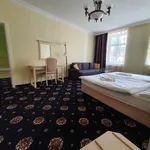 Rent 1 bedroom apartment in Karlovy Vary