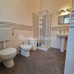 Rent 1 bedroom apartment of 40 m² in Biella