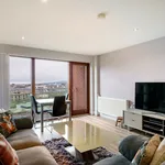 Rent 2 bedroom flat of 1001 m² in Belfast