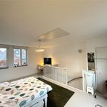 Bulthuisweg, Loenen Aan De Vecht - Amsterdam Apartments for Rent