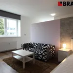 Rent 1 bedroom apartment of 36 m² in Brno