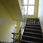 Rent 2 bedroom apartment of 40 m² in Praha