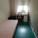 Rent 5 bedroom apartment in Madrid