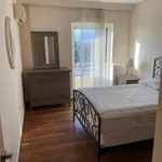 Rent 3 bedroom apartment in Vrilíssia