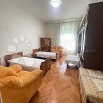 Rent 5 bedroom apartment of 170 m² in Matulji