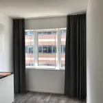 Huur 1 slaapkamer appartement van 40 m² in Maarssen