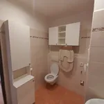 Rent 2 bedroom apartment in České Budějovice