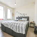 Huur 1 slaapkamer appartement van 69 m² in Izegem