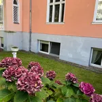 Rent 3 bedroom apartment of 65 m² in Berlin