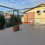 Affitto 2 camera appartamento di 81 m² in Velletri