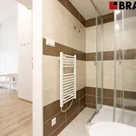 Rent 1 bedroom apartment in Brno