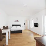 Rent 1 bedroom apartment of 35 m² in Vienna