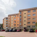 Rent 1 bedroom apartment of 33 m² in Großschirma