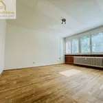 Rent 1 bedroom apartment in Hradec Králové