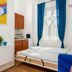 Rent 4 bedroom apartment of 17 m² in Prague