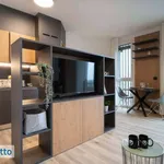 Rent 1 bedroom apartment of 28 m² in Milan