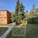 Rent 2 bedroom apartment in Blansko