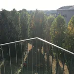 Rent 1 bedroom apartment of 26 m² in BRIE