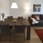 Rent 1 bedroom apartment of 646 m² in Zurich