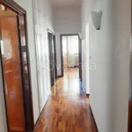 Rent 4 bedroom apartment of 130 m² in Roma