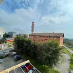 Rent 2 bedroom apartment of 62 m² in Alpignano