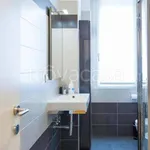 Rent 1 bedroom apartment of 28 m² in Milano