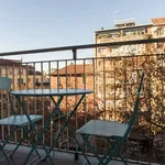 Rent 1 bedroom apartment in milan