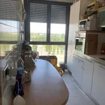 Rent 4 bedroom apartment of 90 m² in Bologna