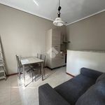 Rent 2 bedroom apartment of 40 m² in Novara