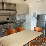 Rent 3 bedroom apartment of 60 m² in Giulianova