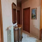 Rent 6 bedroom apartment of 100 m² in Campobasso