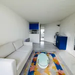 Rent 2 bedroom apartment of 46 m² in Montpellier