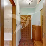 Rent 1 bedroom apartment of 36 m² in Pilsen