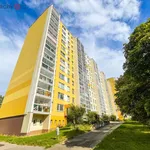 Rent 1 bedroom apartment of 30 m² in Trhový Štěpánov