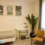 Rent 3 bedroom apartment of 75 m² in Verona